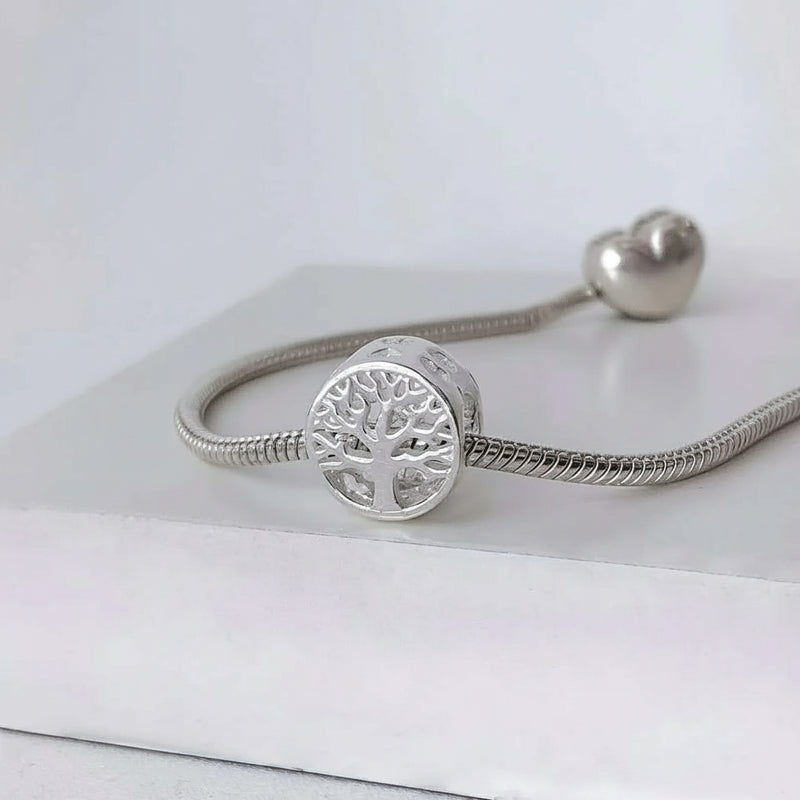 Berloque em Prata BL12